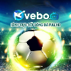 vebozcucc